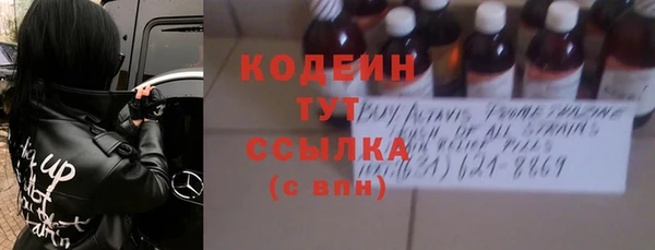 ешки Пересвет